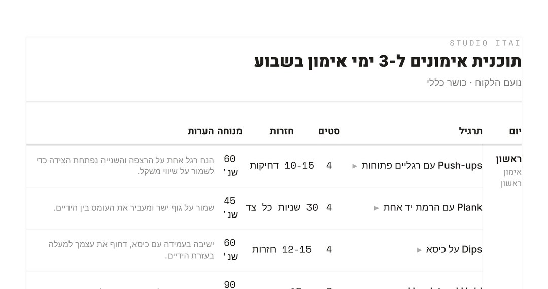 צילום מסך: תוכנית אימונים אישית שנבנתה במערכת